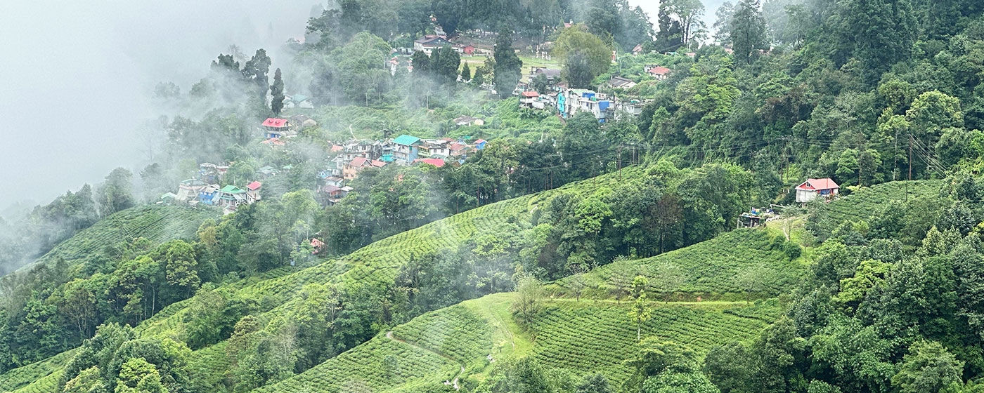 Darjeeling