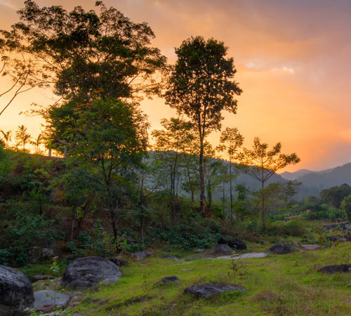 Wild Whispers-Dooars Safari