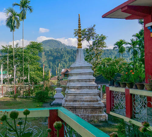 Jungle Trails of Dooars