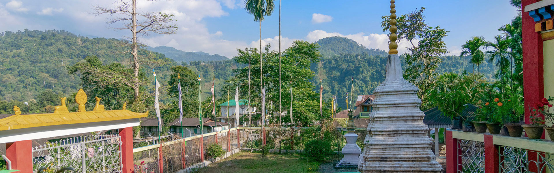 Jungle Trails of Dooars