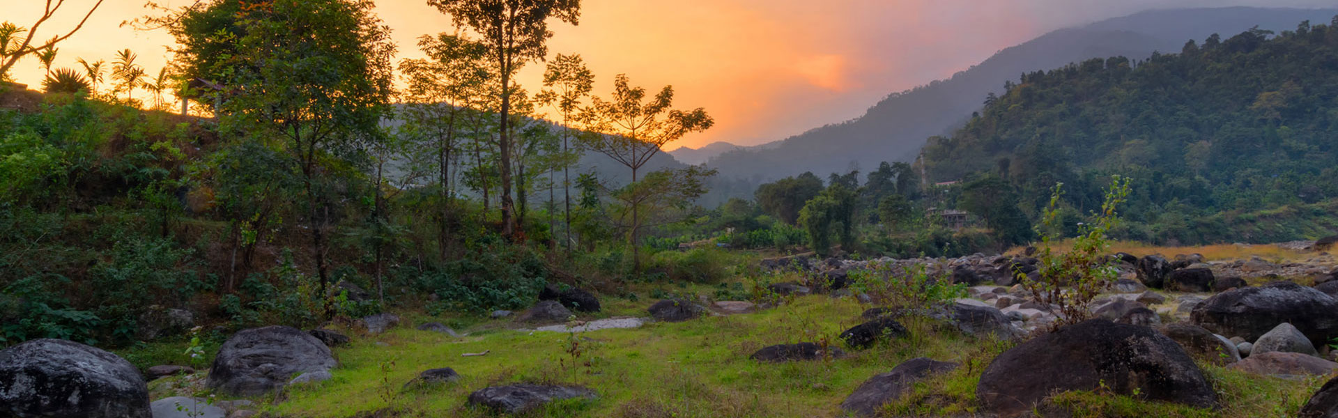 Wild Whispers-Dooars Safari