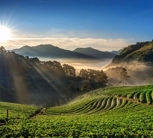 Discover Queen of Hills